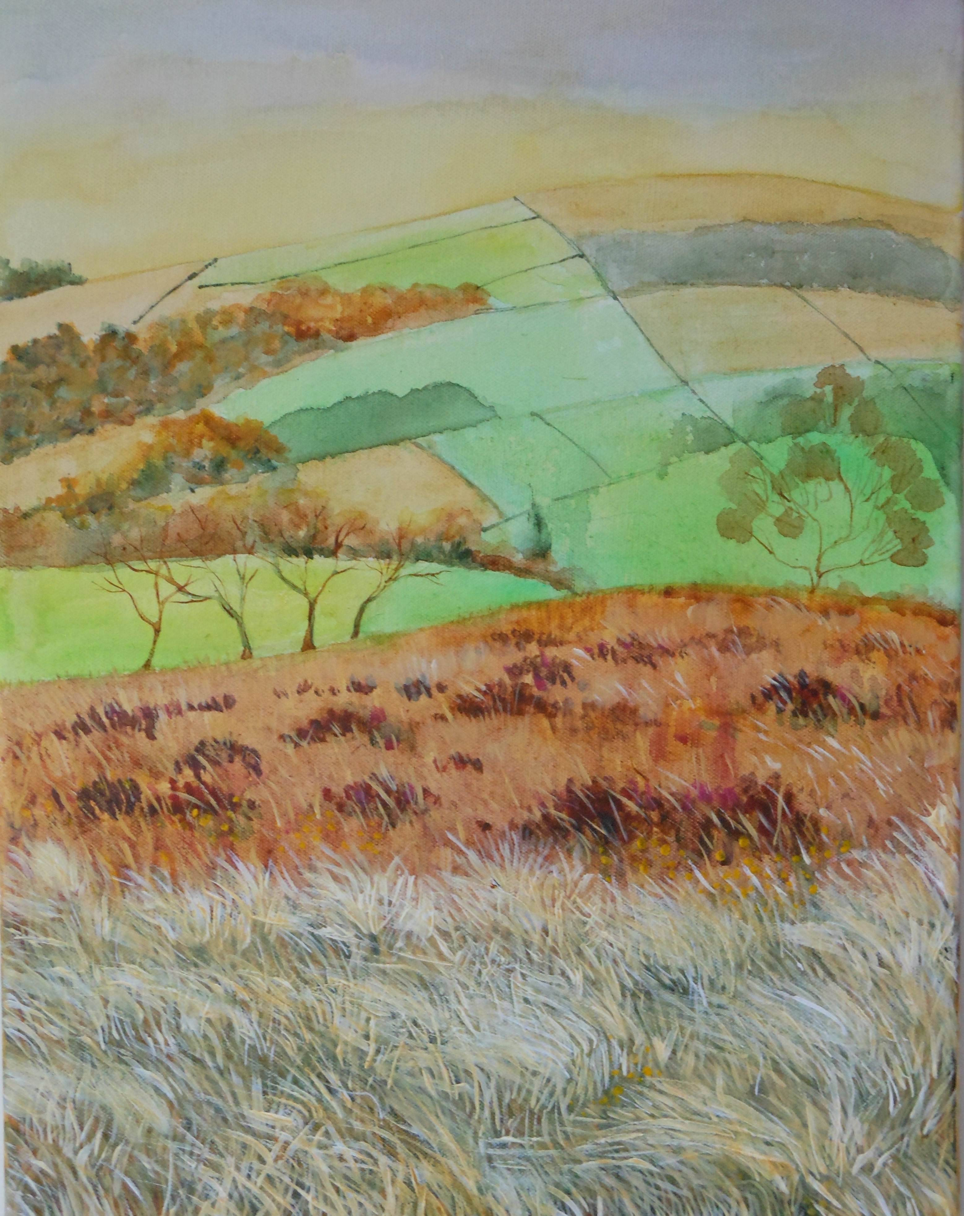 Spring Meadow in the White Peak